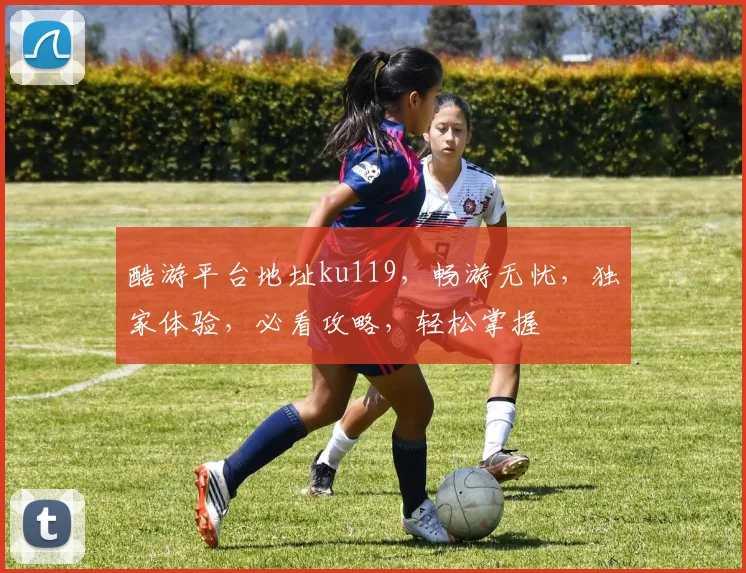 酷游平台地址ku119，畅游无忧，独家体验，必看攻略，轻松掌握