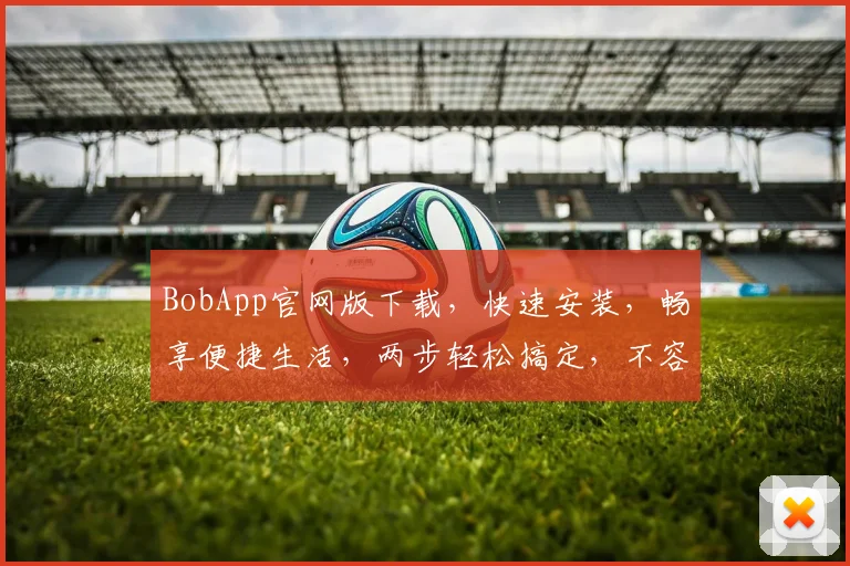 BobApp官网版下载，快速安装，畅享便捷生活，两步轻松搞定，不容错过