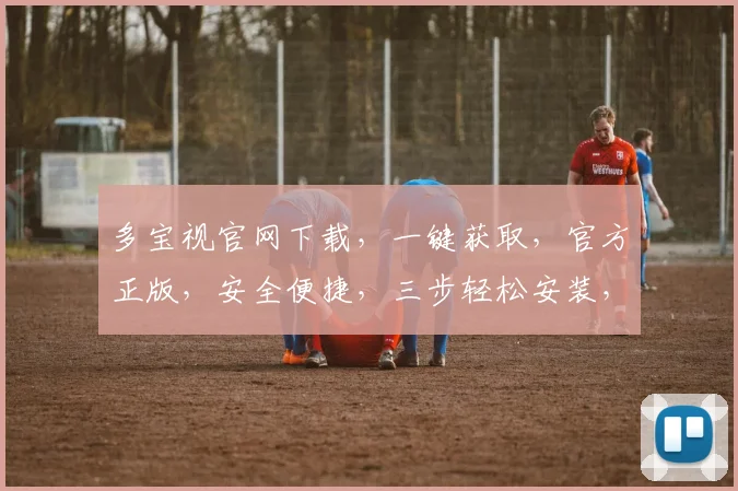 多宝视官网下载，一键获取，官方正版，安全便捷，三步轻松安装，不容错过，体验非凡